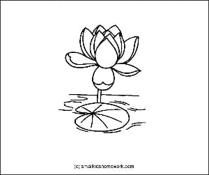 Lotus Flower Outline and Coloring Picture with Interesting Facts