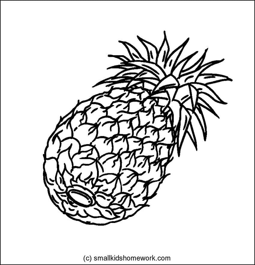 Pineapple.jpg