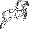 horse