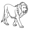 lion