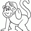 monkey