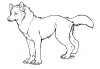 wolf