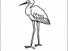 crane