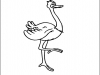 ostritch