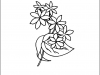 jasmine