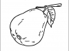 guava