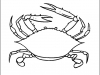 crab
