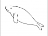 dugong