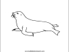 sealion