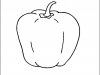 capsicum