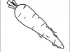 carrot