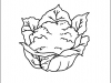cauliflower
