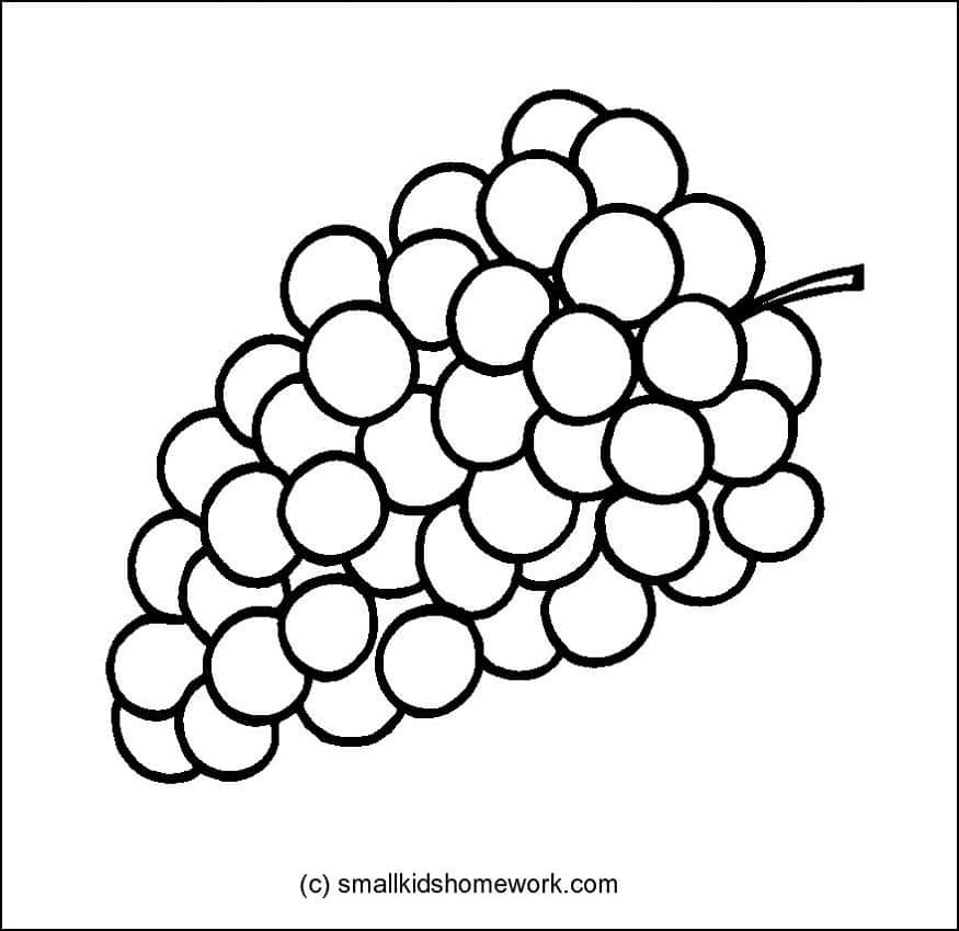 free clipart grapes black and white - photo #35