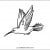 Humingbird
