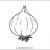Onion Onion