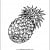 Pineapple Pineapple