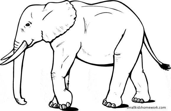 free clipart elephant outline - photo #50