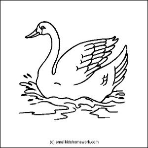 swan outline picture