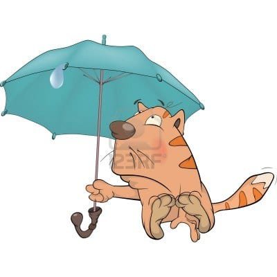 18580387-cat-and-an-umbrella-cartoon
