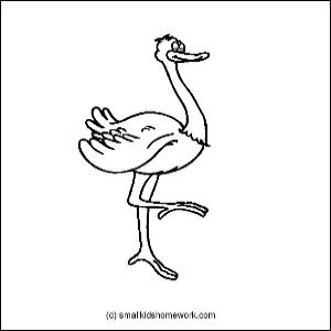 ostrich-outline-image