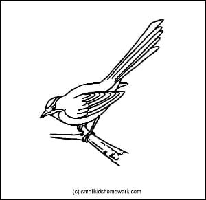 sparrow-outline-picture