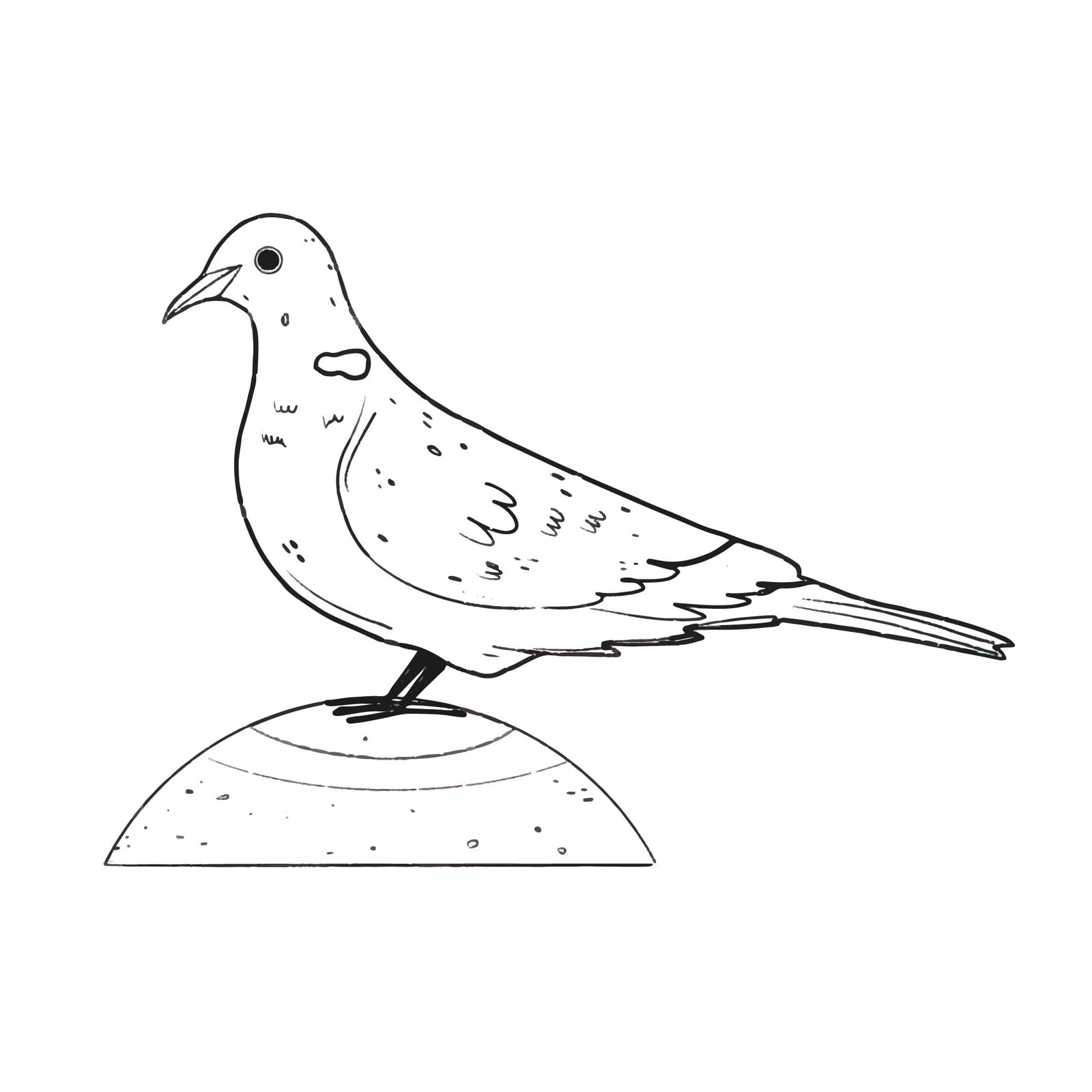 pigeon-outline-picture