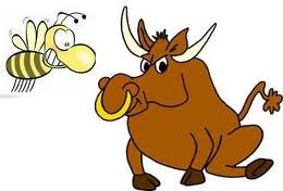 The Bee and the Bull